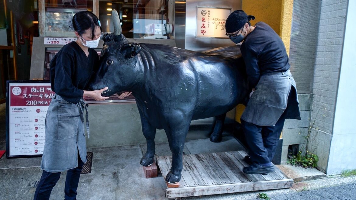 黒毛和牛ステーキや鉄板ハンバーグ！すき焼きからメンチカツまで様々な肉料理で賑わう精肉加工併設店の1日に密着 Wagyu steak hamburge sukiyaki restaurant Japan