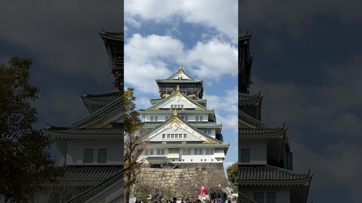 Osaka Castle exceeded all expectations 🏯🇯🇵 #osakacastle #japantravel #osaka #travel #osakatrip