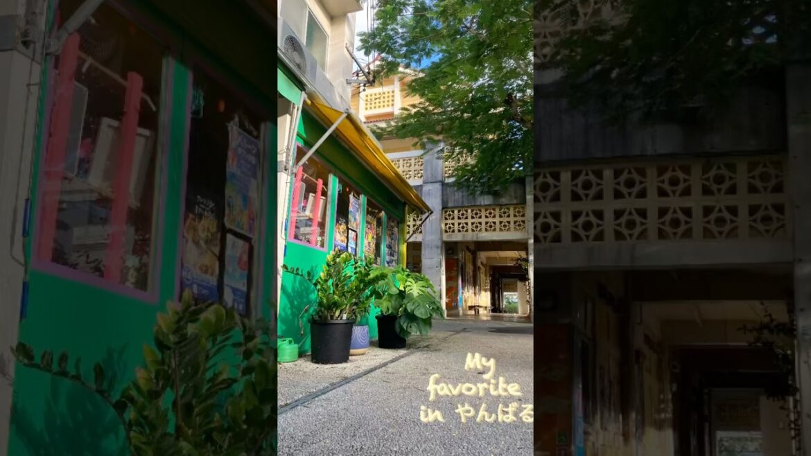 【My favorite in やんばる】沖縄県名護市の街中オアシス #沖縄#旅行#カフェ 【My favorite in やんばる】沖縄県名護市の街中オアシス #沖縄#旅行#カフェ