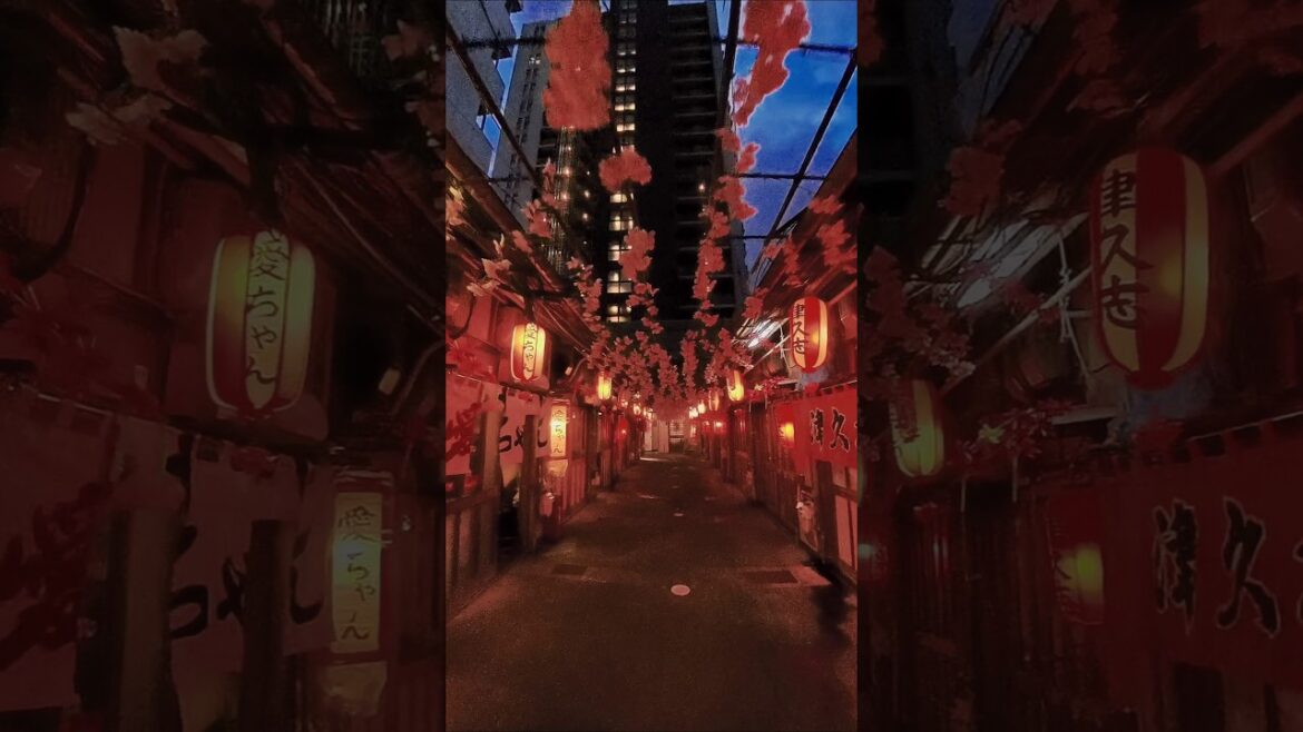 Shizuoka , Japan    Aoba Oden Gai