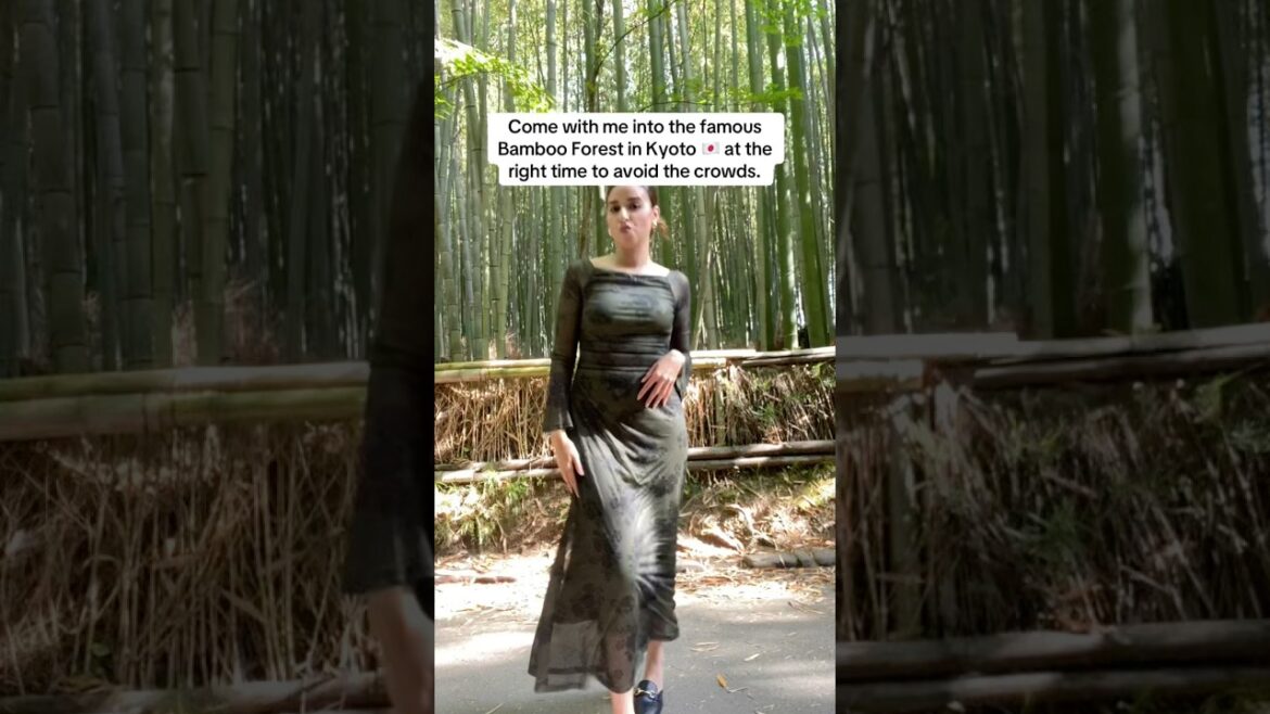 Avoid the crowds in Kyoto 🇯🇵 #travel #japan #kyoto #bambooforest #arashiyama