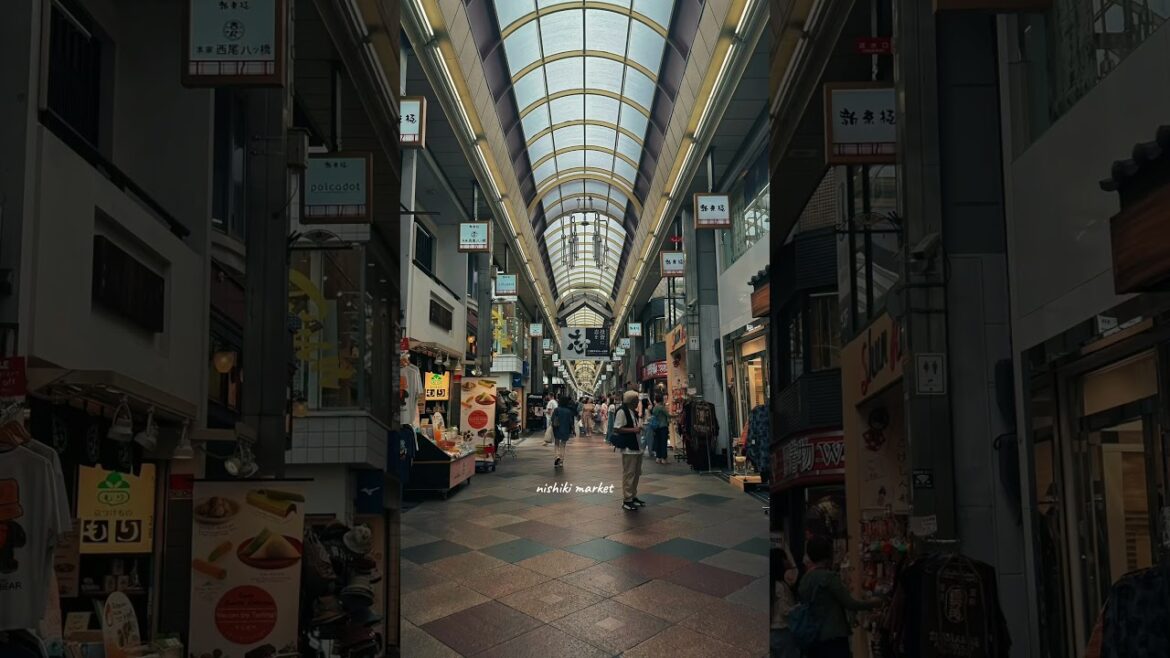 Kyoto Explores: Places to Visit