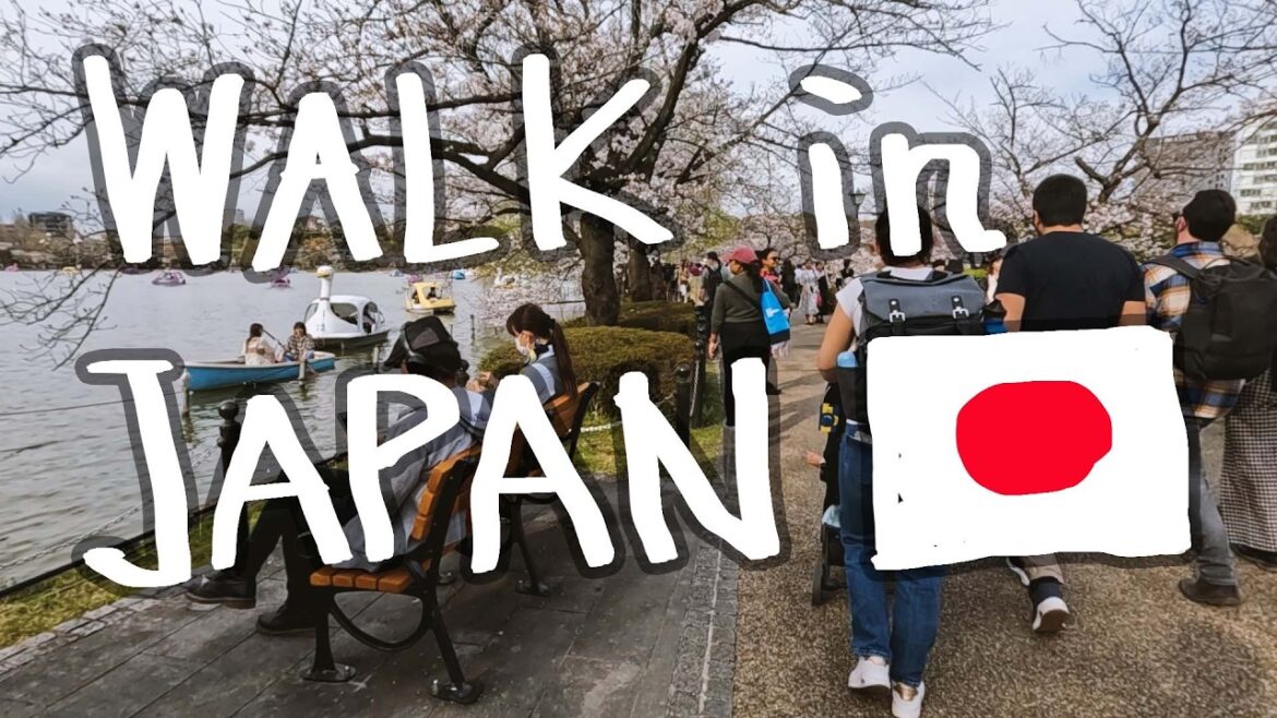 Walking in Tokyo | Market Scenes & A Relaxing Ueno Park Stroll ♫🎹 Johnny JAM🎸 Walking in Tokyo | Market Scenes & A Relaxing Ueno Park Stroll ♫🎹 Johnny JAM🎸