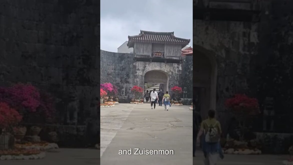This is your sign to visit Shuri Castle. #japanvlog #okinawa #okinawatravel #shuricastle #japan This is your sign to visit Shuri Castle. #japanvlog #okinawa #okinawatravel #shuricastle #japan