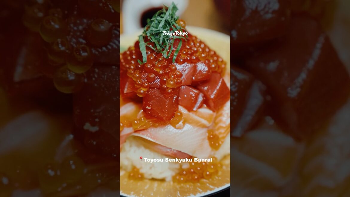 【Feel Tokyo】A sensory journey through fish markets.