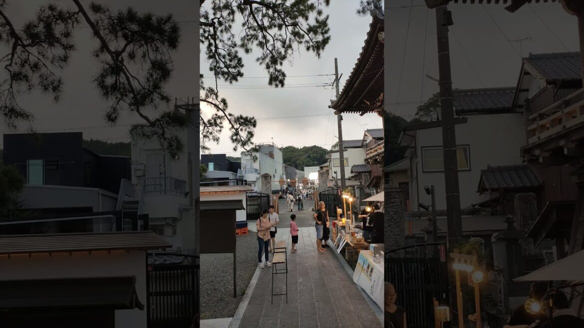 Asian Bear Garden, Shizuoka, Japan