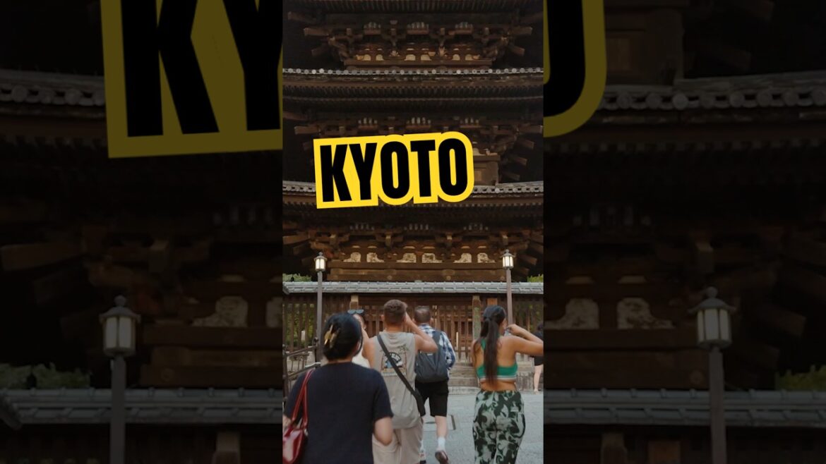 Kyoto represents the old Japan, Tokyo represents the new. #japan #newvsold #kyoto #tokyo #travel