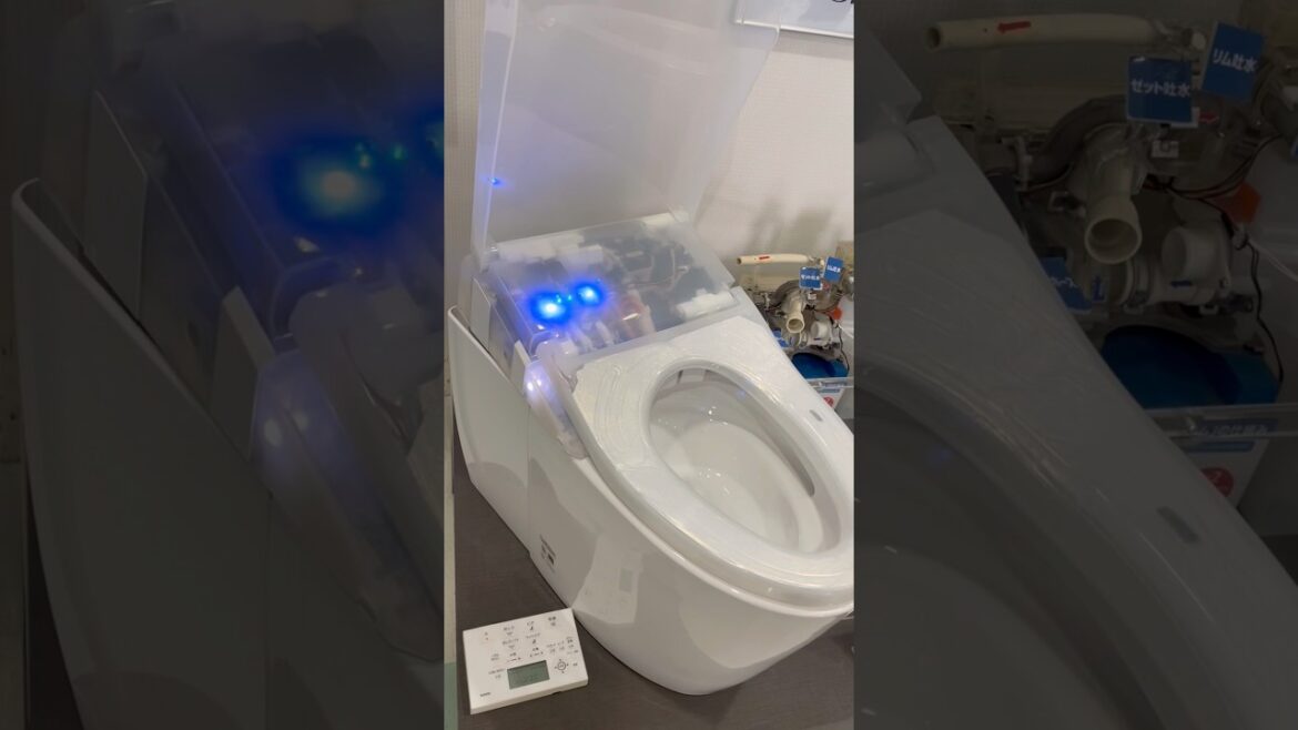 Travel Vlog: Riding Japan’s Bus and Discovering Its Culture and Student Life