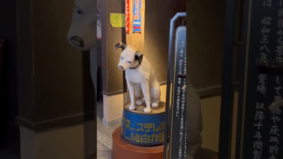 Underground restaurant rows with vintage setting | Umeda Skybuilding | Osaka, Japan