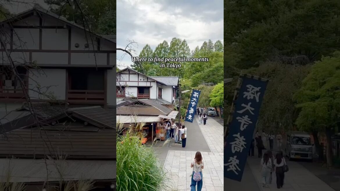 Spots in Tokyo that’ll make you forget you’re in a busy city! Details in Description! #japan