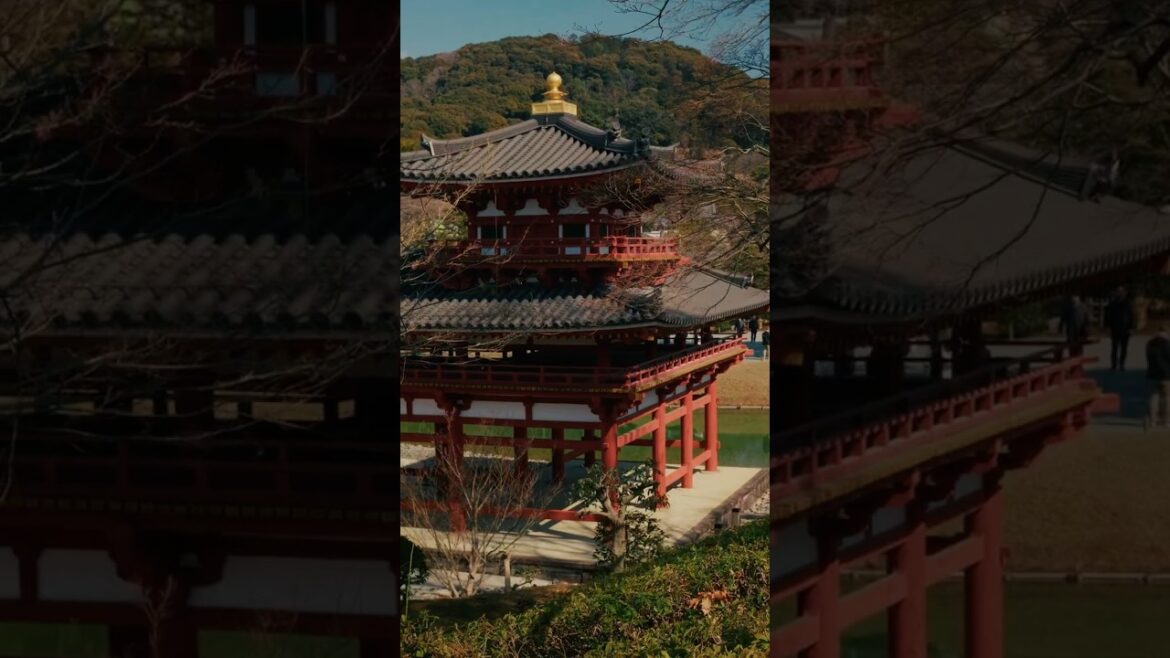 if you're a matcha lover, you need to visit Uji 🍵