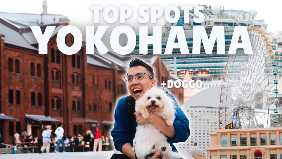 Exploring Yokohama with My Dog: Hidden Pet-Friendly Places! Exploring Yokohama with My Dog: Hidden Pet-Friendly Places!