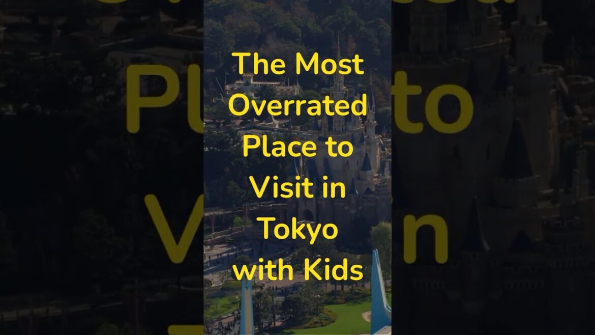 What They Don't Tell You About Tokyo DisneyLand