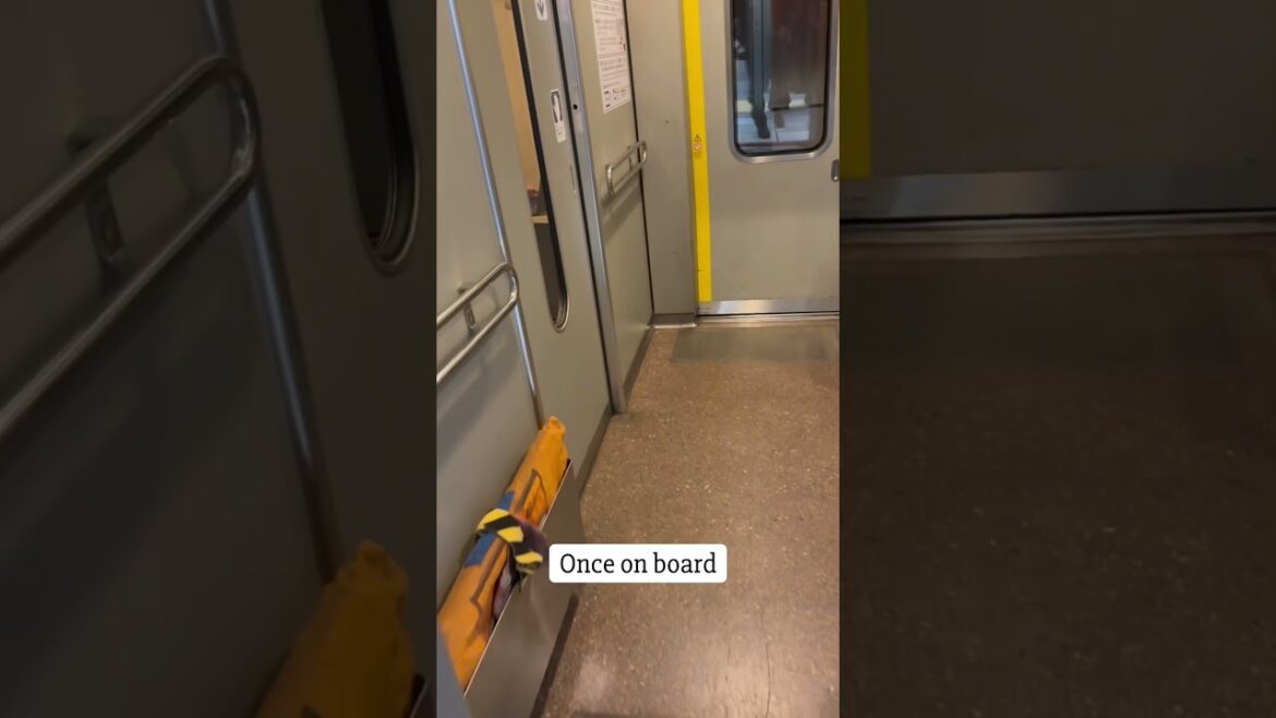 Riding the local train in Osaka. train times, destinations, routes, and even which car to board!