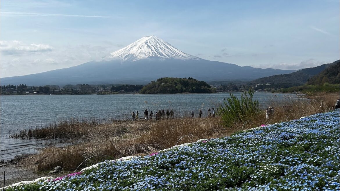 Tokyo 2025 | Mt. Fuji