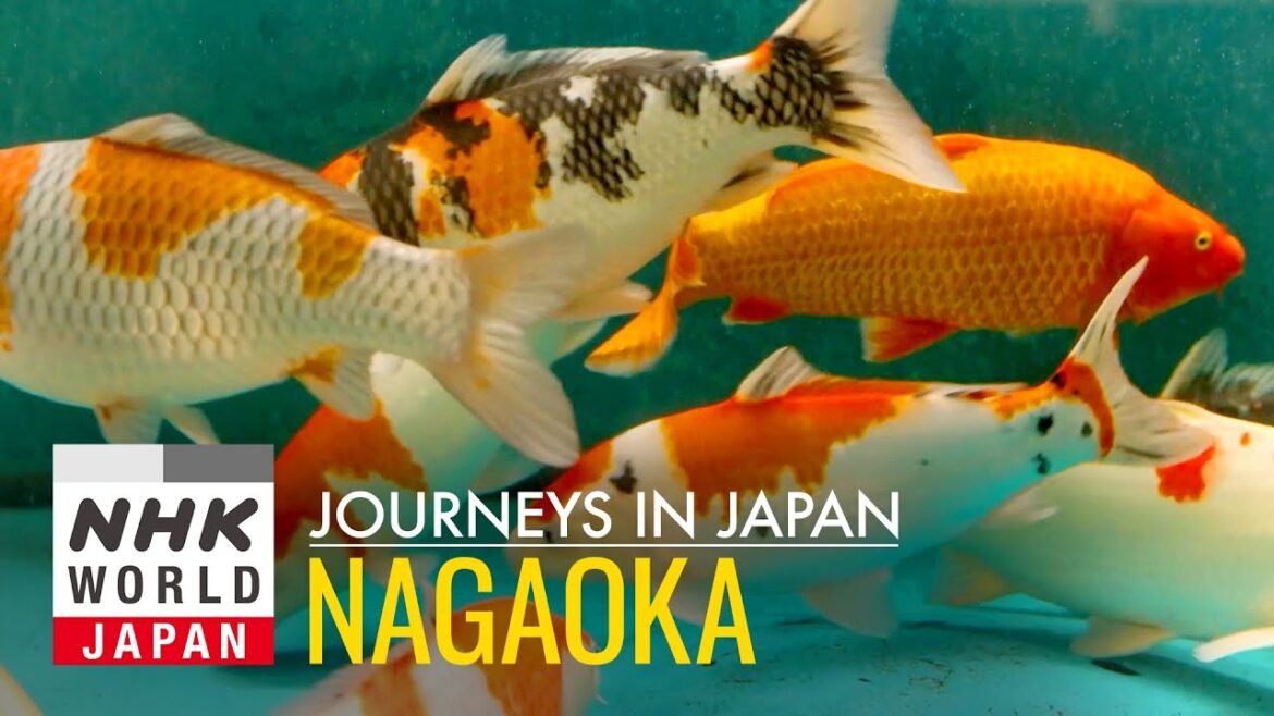 Nagaoka: Water, the Wellspring of Abundance – Journeys in Japan Nagaoka: Water, the Wellspring of Abundance - Journeys in Japan