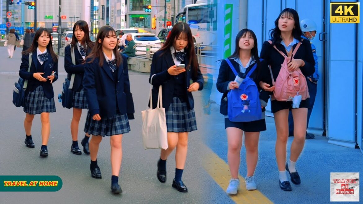 4K HDR Japan travel 2025 | Walk in Shinjuku(新宿)Tokyo Japan |Relaxing Natural City ambience 4K HDR Japan travel 2025 | Walk in Shinjuku(新宿)Tokyo Japan |Relaxing Natural City ambience