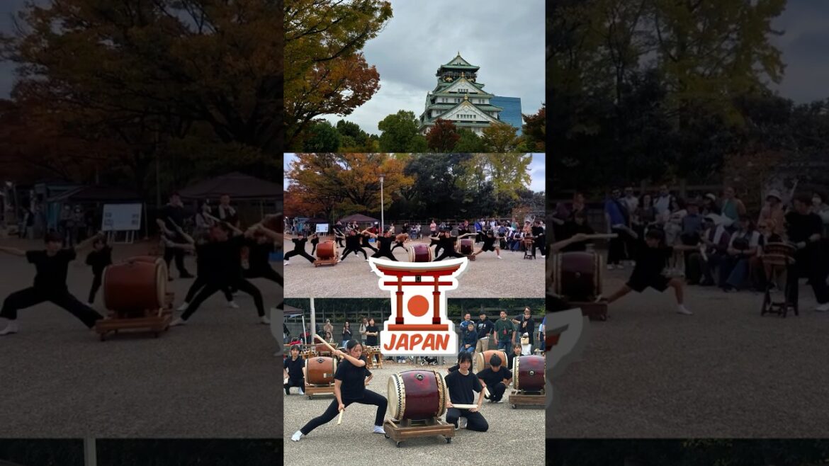 Feel the Power of Japan 🇯🇵 Taiko Drum in Osaka Castle