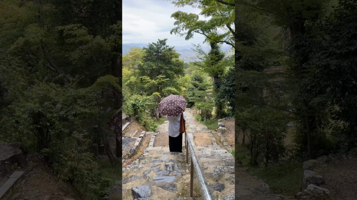 Perfect Solo Date in Kyoto, Japan Perfect Solo Date in Kyoto, Japan