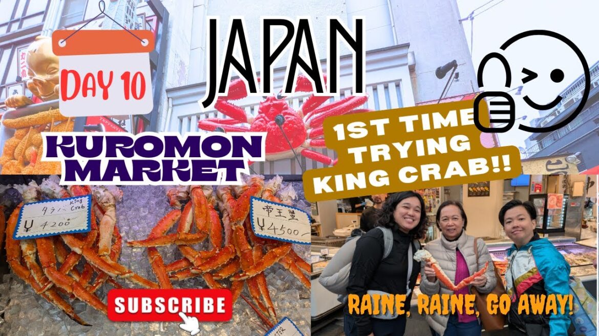 DAY 10 | FOODTRIP AT KUROMON MARKET | LUGGAGE DELIVERY TO KANSAI AIRPORT 🇯🇵 | LORAINE LALLAVE