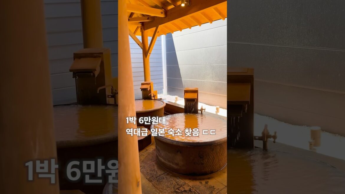 1박 6만원 온천무료 초가성비 일본 숙소 찾음 ㄷㄷ (홋카이도 하코다테)