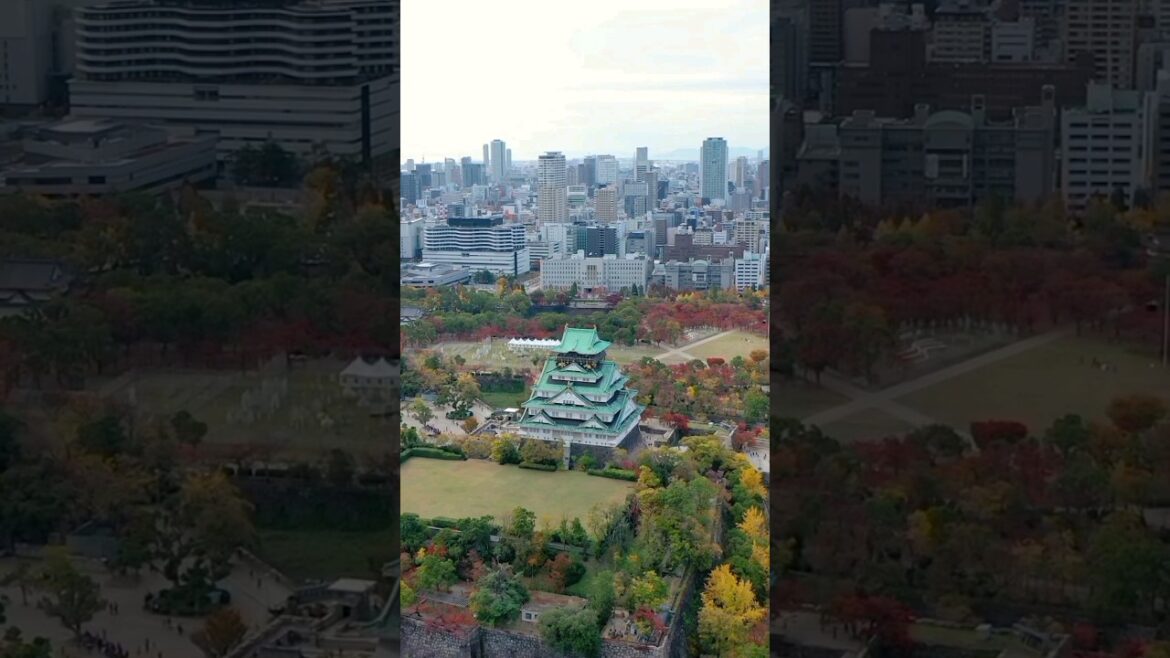 📍Places On Earth That Don't Feel Real 🦋 #nature #explore #fyp #travel