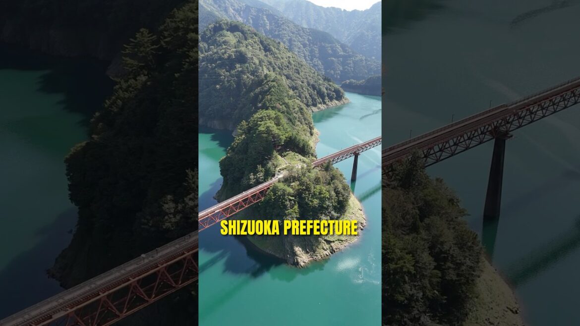 Experience authentic Japan in Shizuoka🇯🇵 #visitjapan #japantravel #japantrip Experience authentic Japan in Shizuoka🇯🇵 #visitjapan #japantravel #japantrip