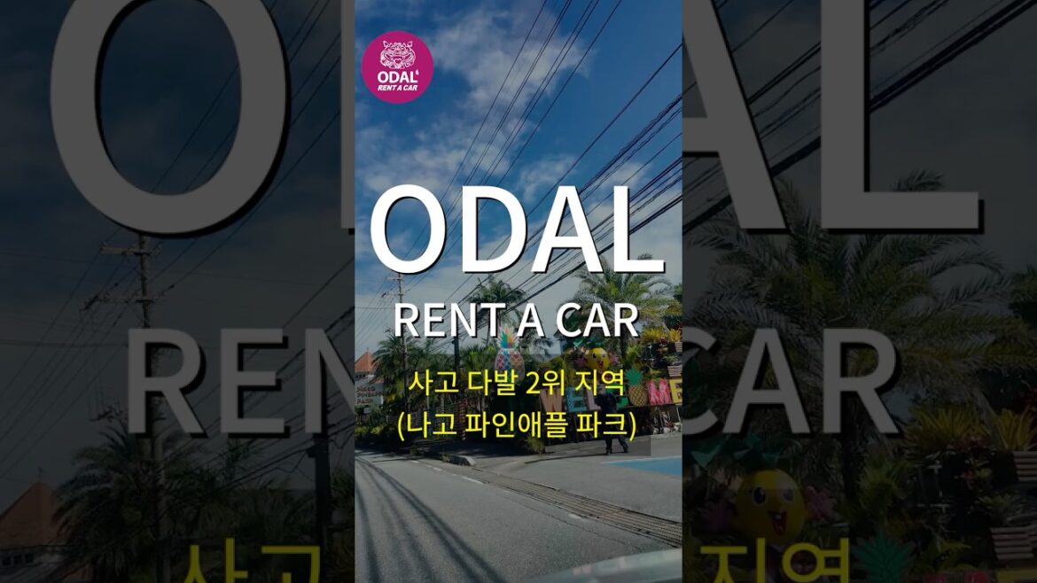 오달 사고다발 2위 지역은? (feat.나고 파인애플 파크) 오달 사고다발 2위 지역은? (feat.나고 파인애플 파크)