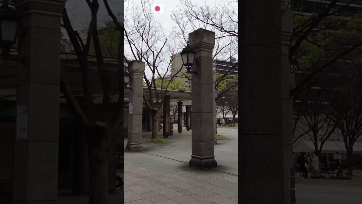 🇯🇵 Visit #Fukuoka in #Japan with us! #Shorts