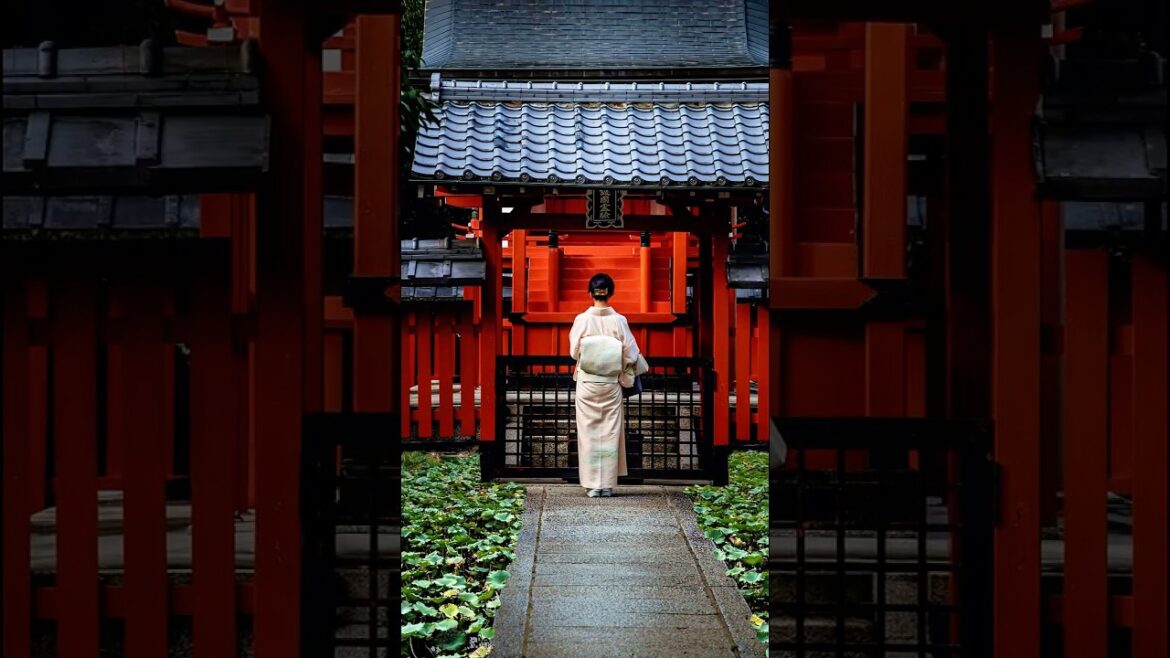 Kyoto: Temples & Tranquility 🏯🍃🇯🇵