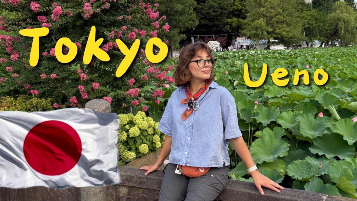 UENO’da Japon Kültürünü Keşfettik! Panayır, İnternet Kafe ve Gece Hayatı 🤩 | 94