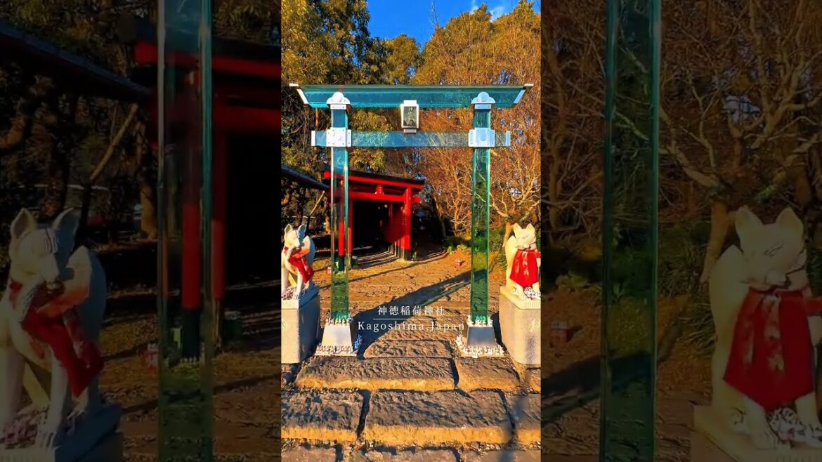 鹿児島日本📍⛩️                      神徳稲荷神社 #favourite #foryou #fypシ゚ #dream #Kagoshima 🇯🇵