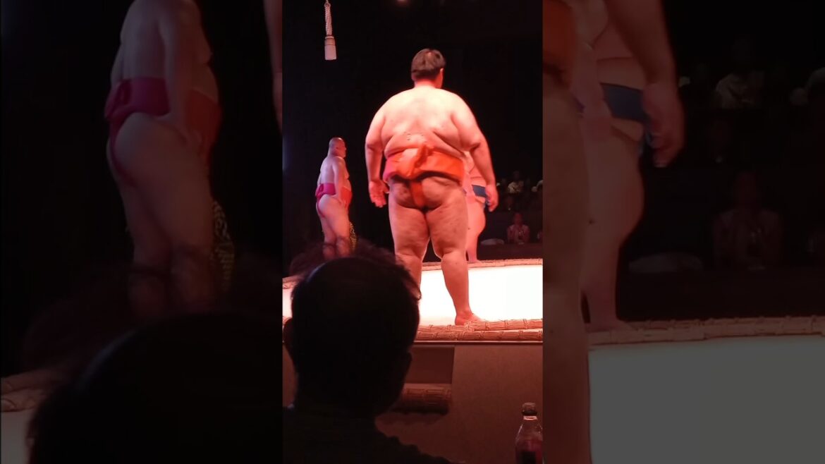 Tingkah lucu  pesumo di Sumo Hall Hirakuza ,Osaka #travel #Japan#jalanjalan#Osaka