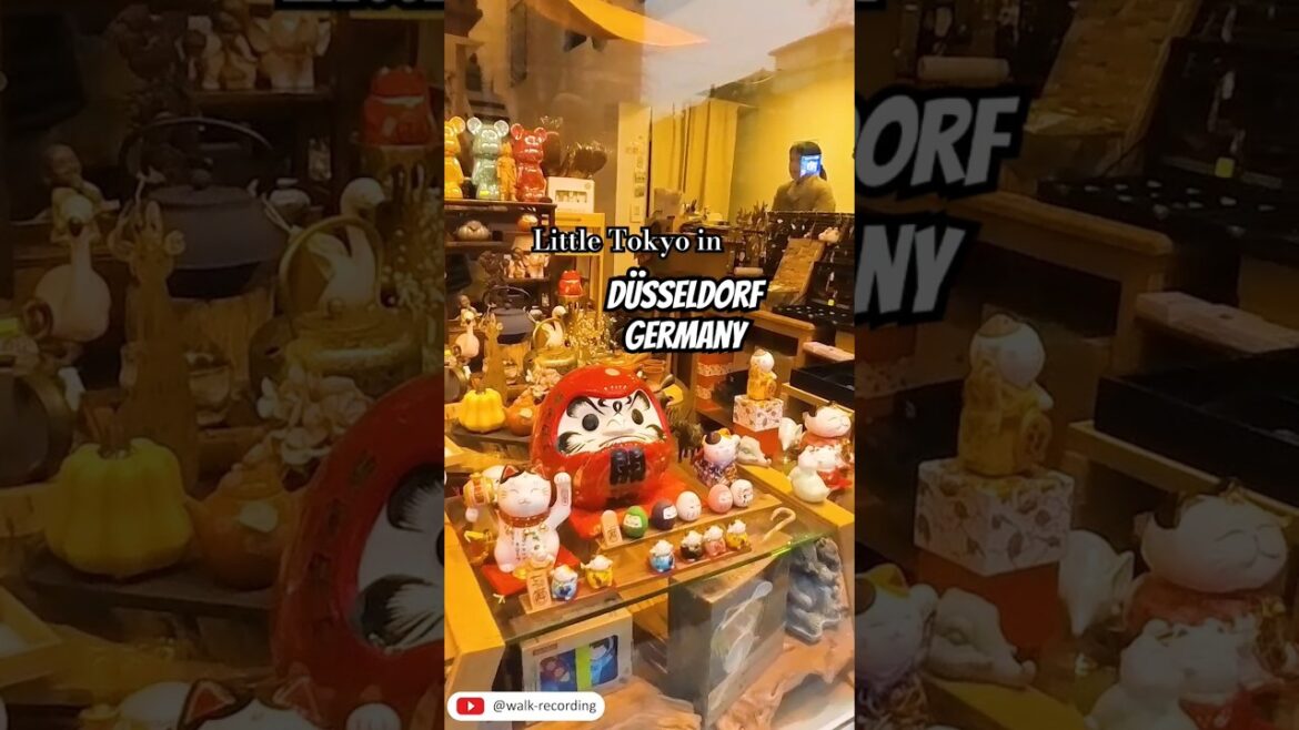 A little trip to Little Tokyo in Düsseldorf 🌸🍣 #düsseldorf #germany #travel