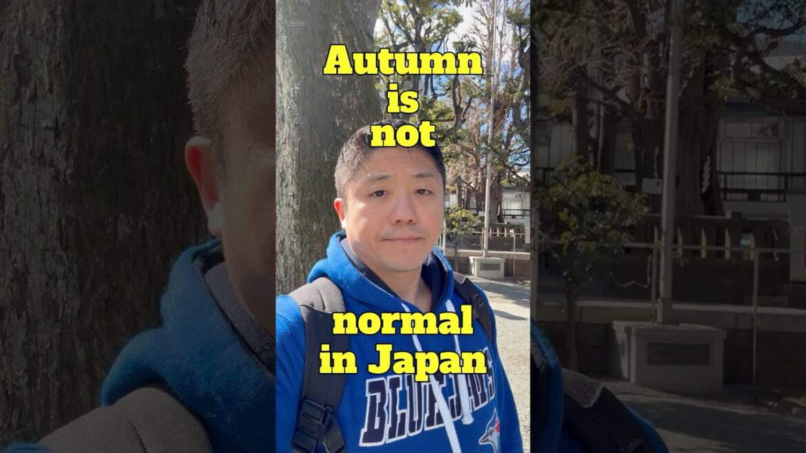 Japan in October, November, and December 🍁 Japan in October, November, and December 🍁