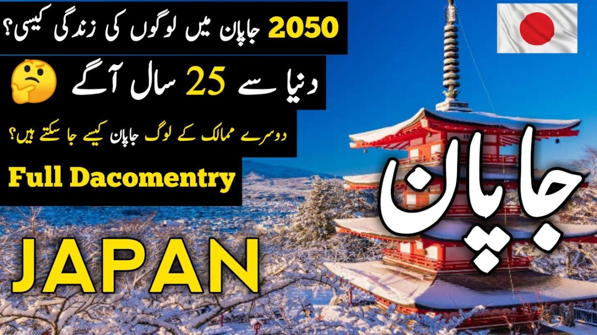 Japan Vlog | Life In Japan | Japan Travel Guide | Tokyo | Osaka |