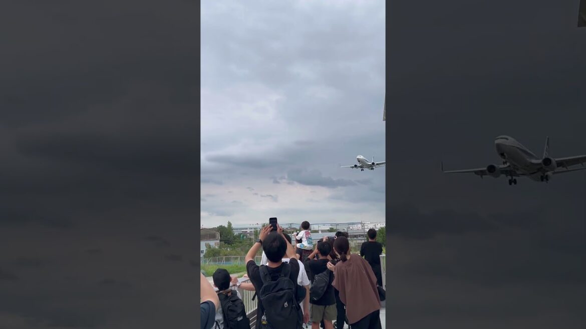 【OSAKA】 Breathtaking Airplane View - Tsubasa Park