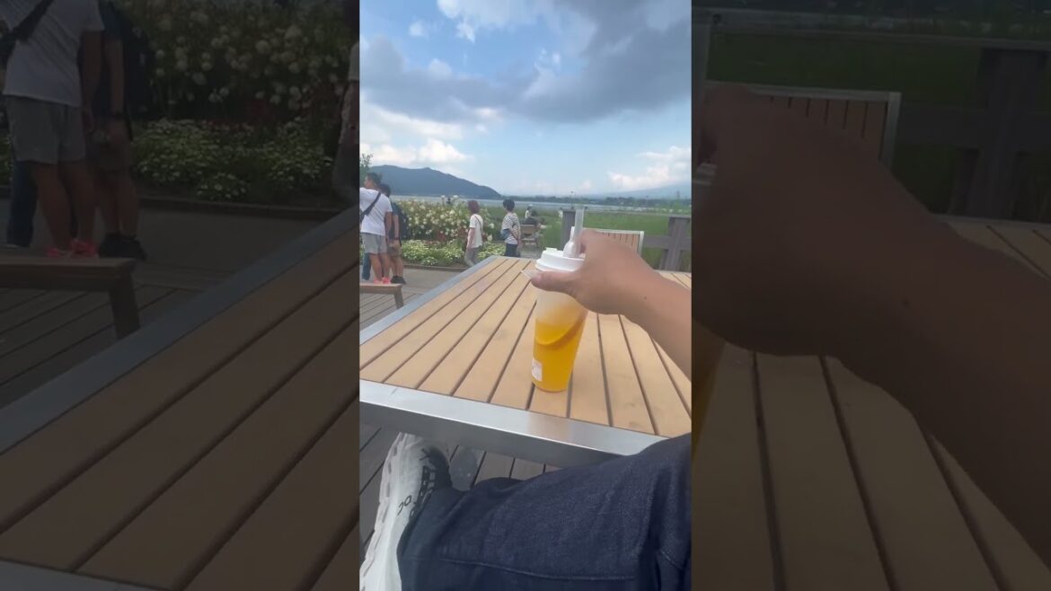 “From Fuji to Fushimi: A Japan Odyssey”