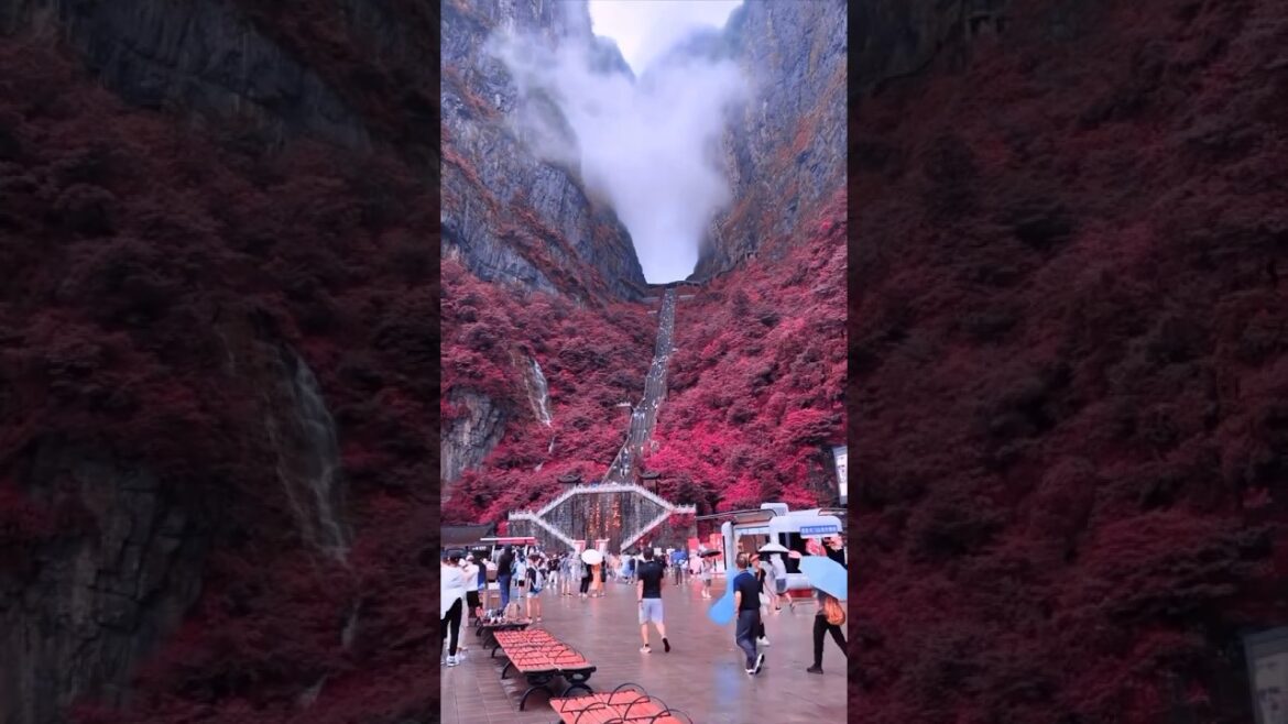 🌍✨ Most Beautiful Places on Earth –Korea 😱🔥#nature #travel #adventure #beautifulplaces #shortvideo 🌍✨ Most Beautiful Places on Earth –Korea 😱🔥#nature #travel #adventure #beautifulplaces #shortvideo