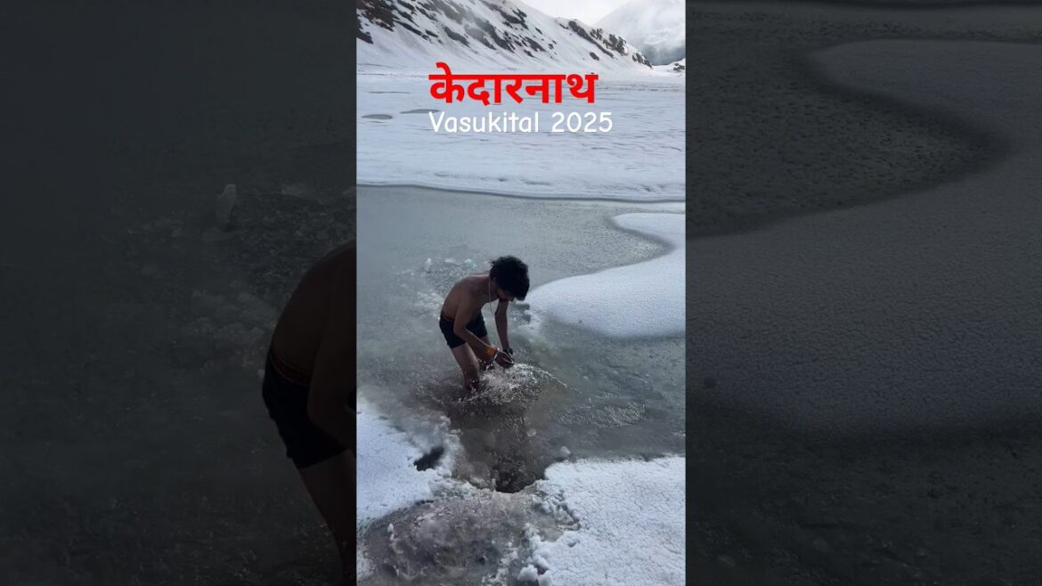 केदारनाथ vasukital track 2025 । vasukital track rasta । #kedarnath #vasukital #vasukinaag #chardham केदारनाथ vasukital track 2025 । vasukital track rasta । #kedarnath #vasukital #vasukinaag #chardham