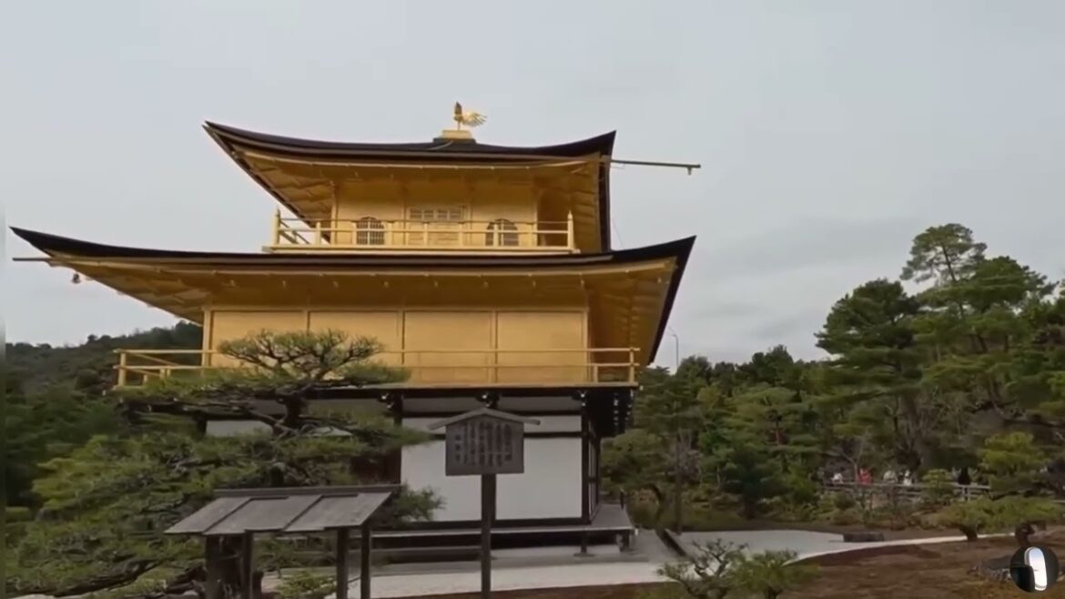 Kinkaku-ji (Golden Pavilion) Buddhist Temple Kyoto Japan Tour