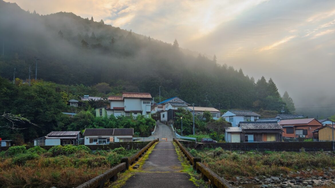 Kumano Kodo Fog Mornings, Walking 30KM on Nakahechi Trails | Wakayama, Japan