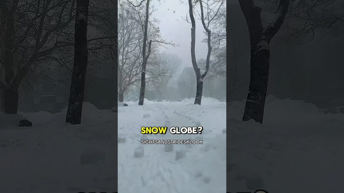 Wondered what it’s like to be in a snow globe? ❄️⛄️☃️#sapporo #japan #winter #hokkaido #snow