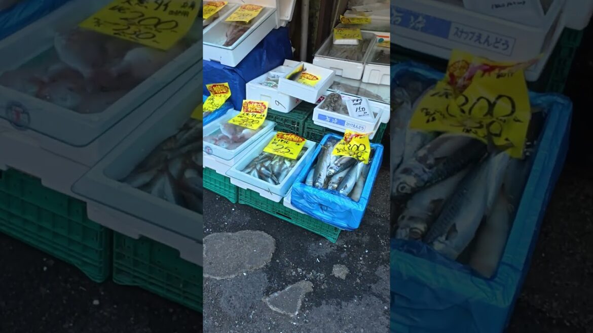 Would You Buy Fish Here? 🐟 | Nagoya Street Market Japan #fishmarket #walkingtour #asmrwalking