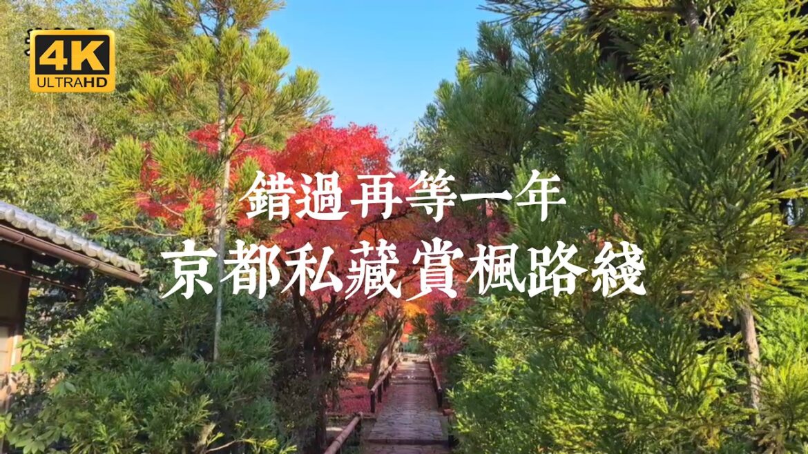 【京都一人旅 EP42】京都賞楓大爆料！京都當地人私藏的賞楓路線，錯過後悔一年 | 遠離人群的鷹峯三寺、嵐山深處的小驚喜 | 「京都賞楓指南」電子書無料下載中！