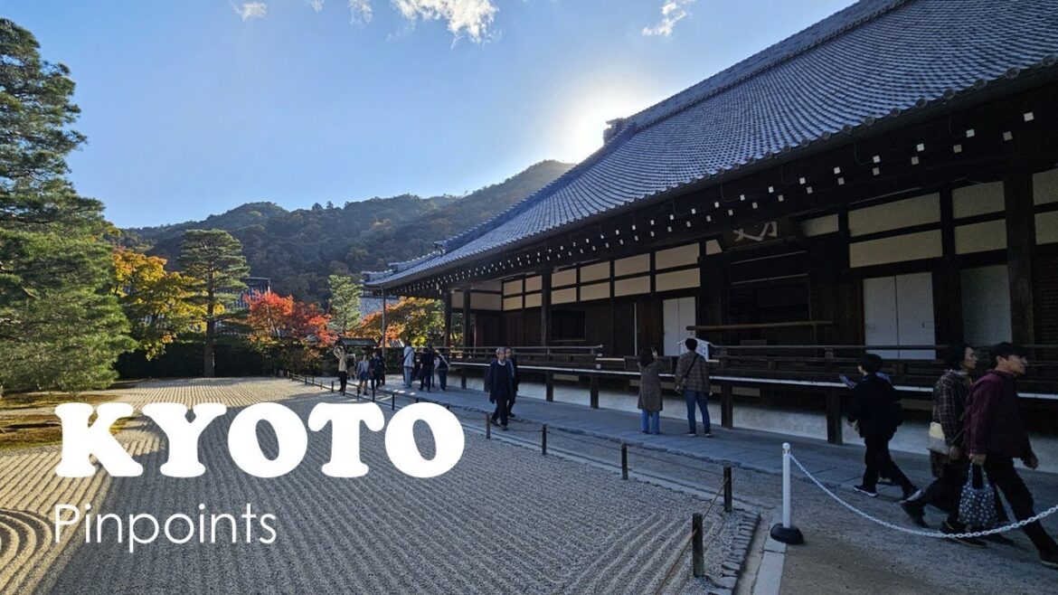 60 Days in Japan | Kyoto Daytrip | Travel Vlog | EP. 29