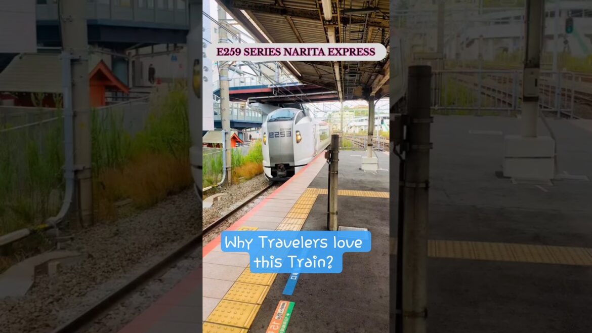 Why Japan’s Narita Express is the Best Train for Tourists Why Japan's Narita Express is the Best Train for Tourists