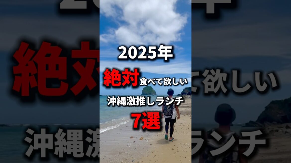 【保存版】沖縄で絶対にハズさないランチ7選！《沖縄旅行・観光・旅行・Okinawa》#沖縄#沖縄旅行#旅行#沖縄グルメ#グルメ#人生最高#okinawa#japan