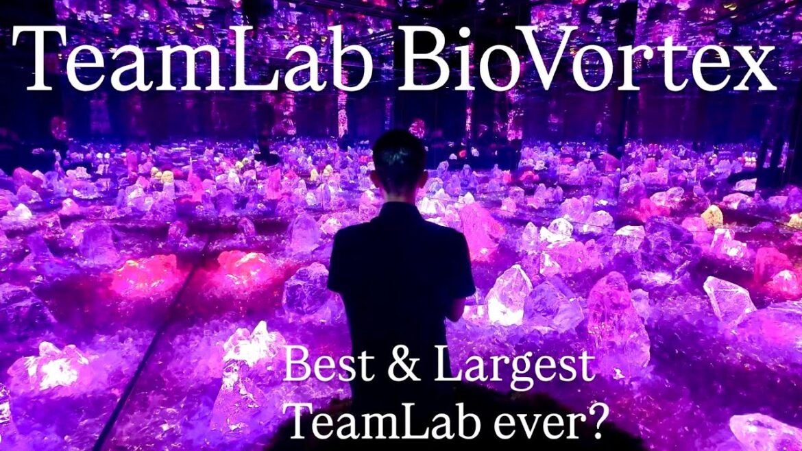 TeamLab Biovortex Kyoto 4K Full Tour: Japan’s Largest Immersive Digital Art Museum