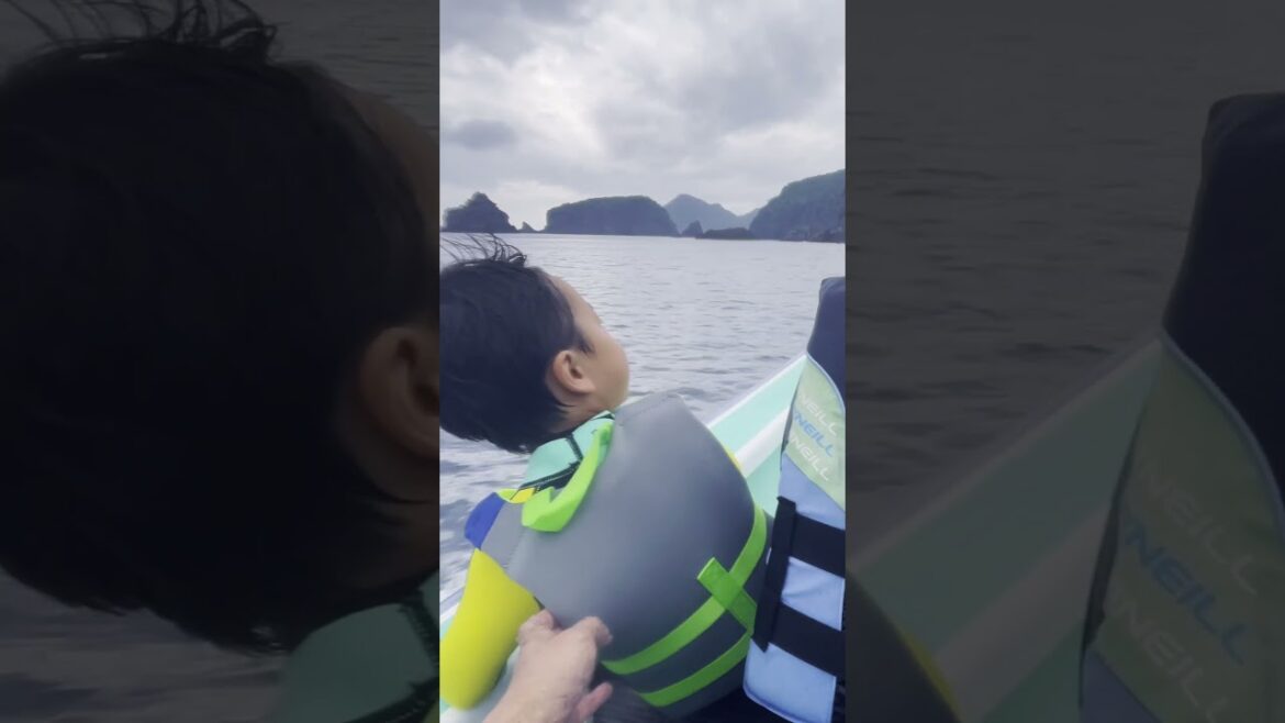 A Wild Boat Ride from Hirizo Beach in Izu, Japan